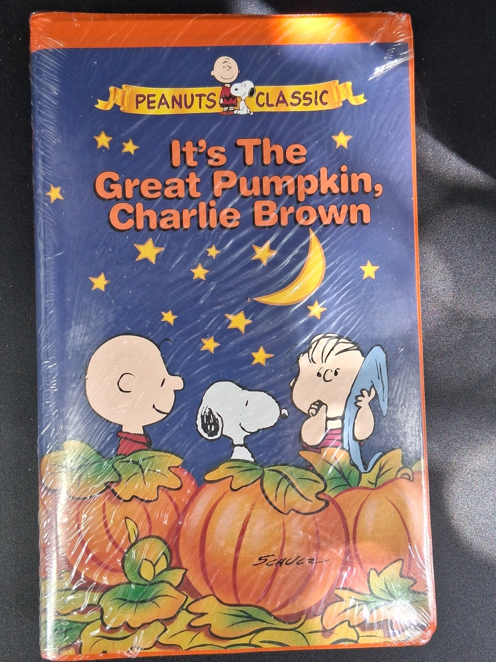 Target Peanuts Classic Pumpkin Costume Illustration - Orange/Blue